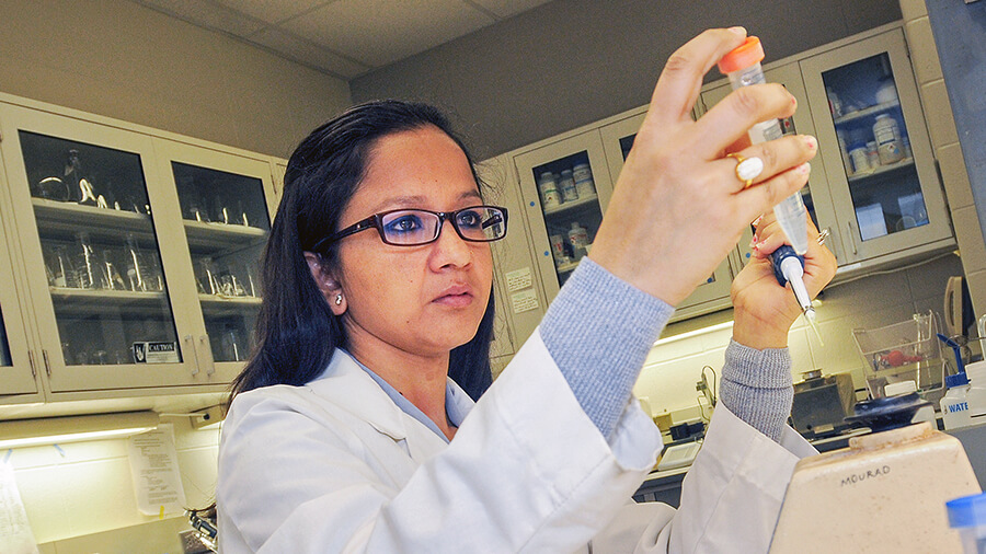 Student researching chemistry
