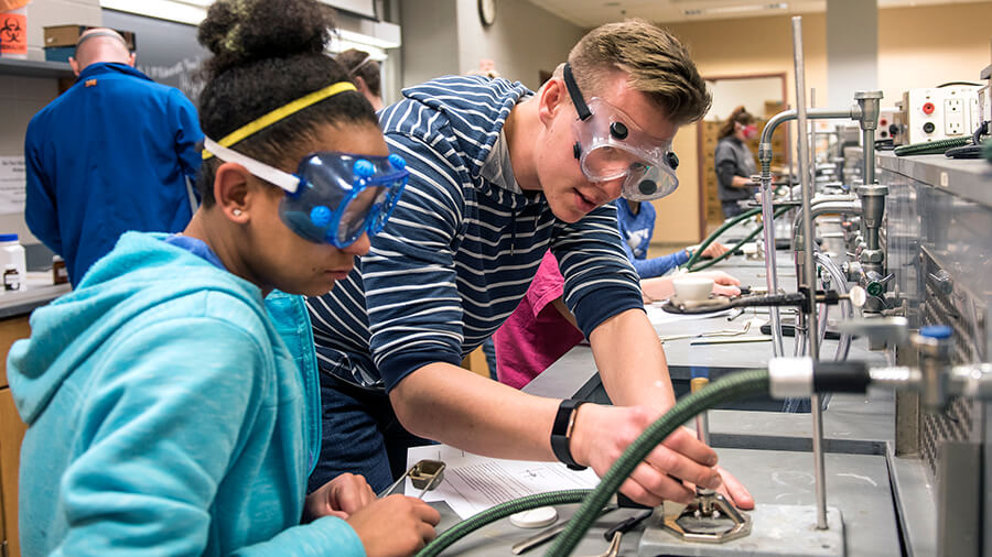 Students working in a laboratory