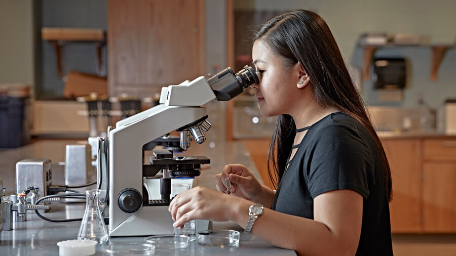 Student using microscope