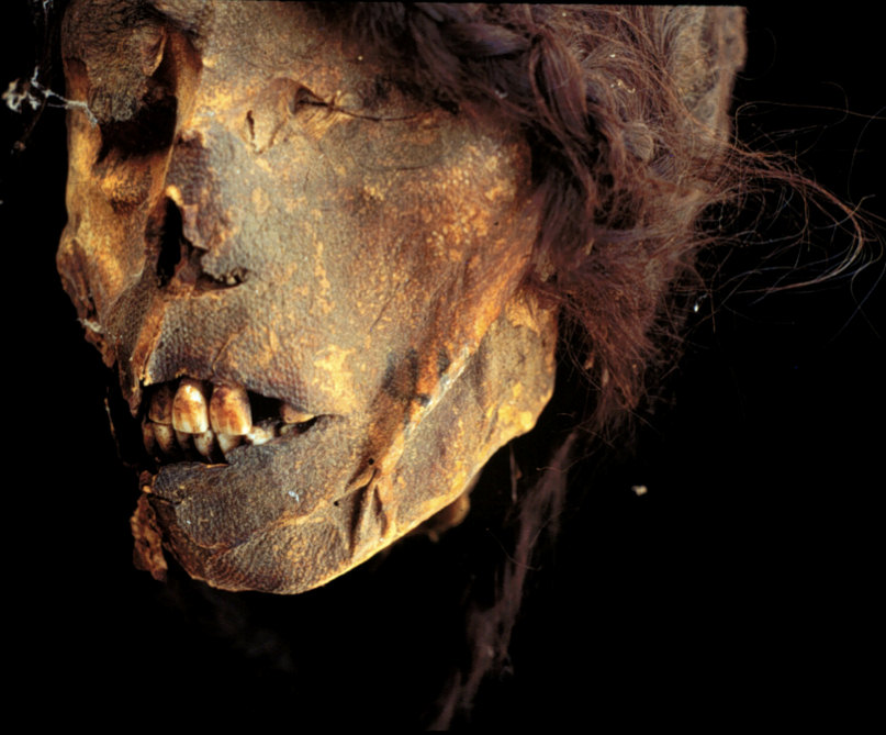 skull skull