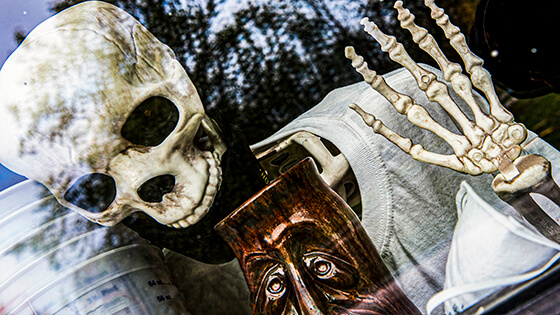 Halloween decorations with a skeleton in a window.