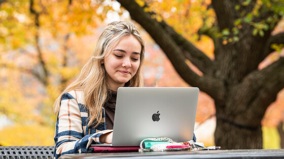 Students studying on campus.