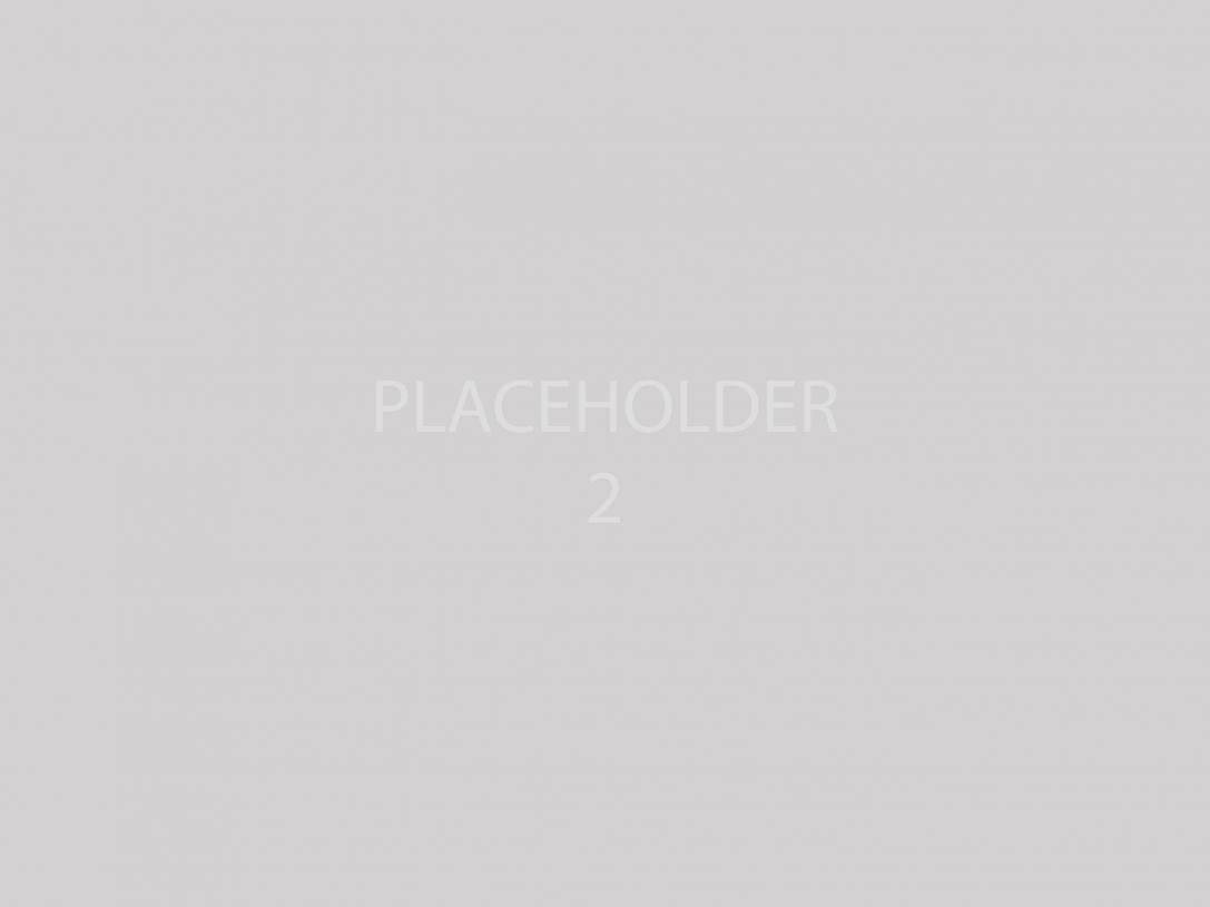 Placeholder image in grey option 2