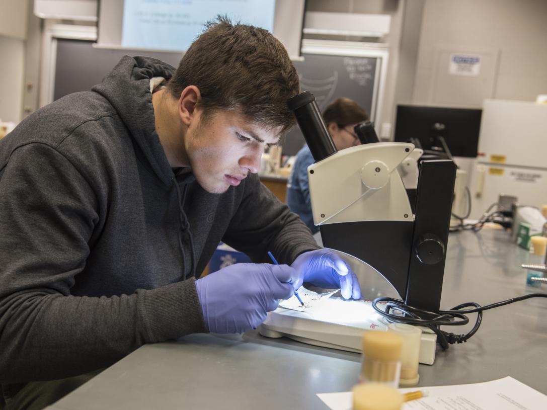 A student at a microscope in a Biology lab