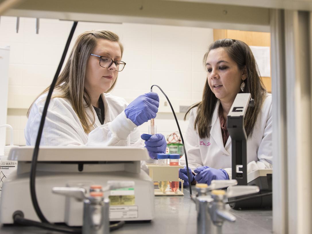 A graduate Bio lab with professor Soule