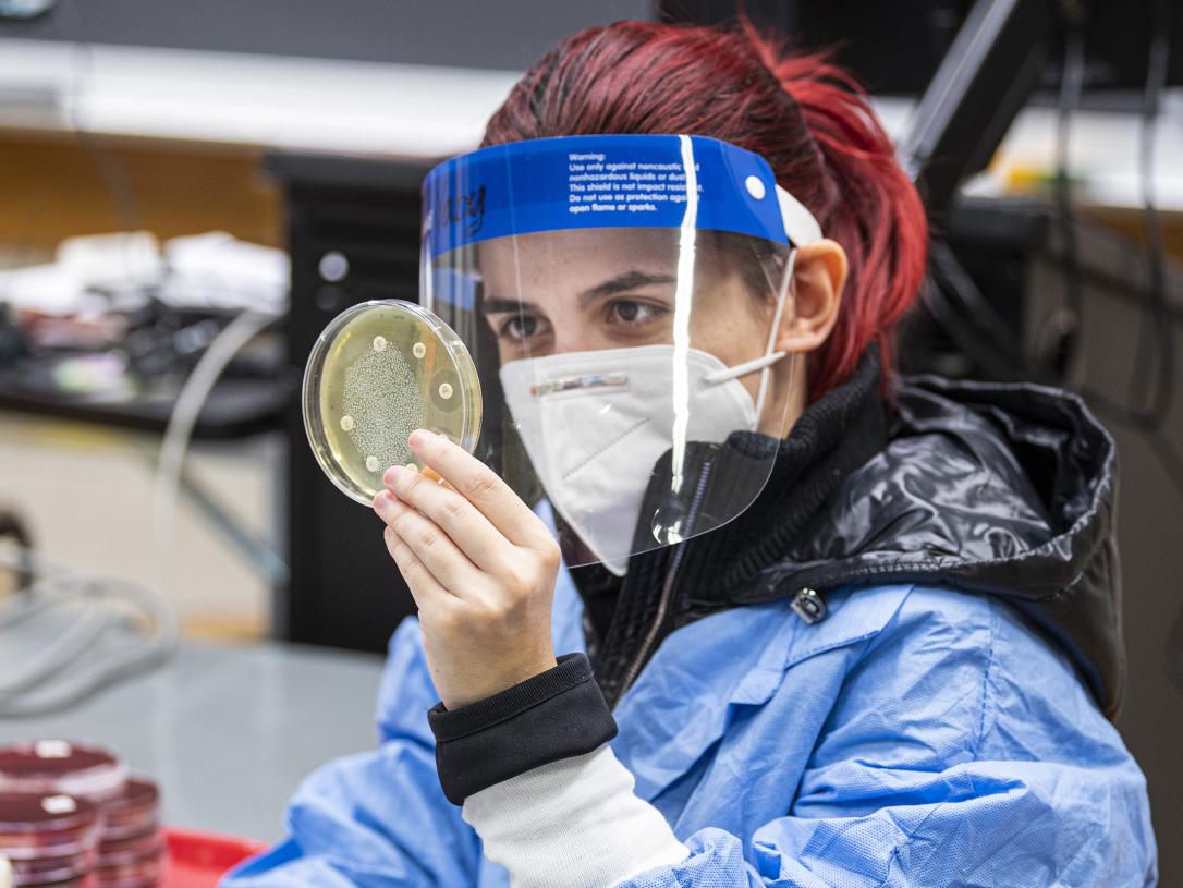 A female Biology student examining a petri dish