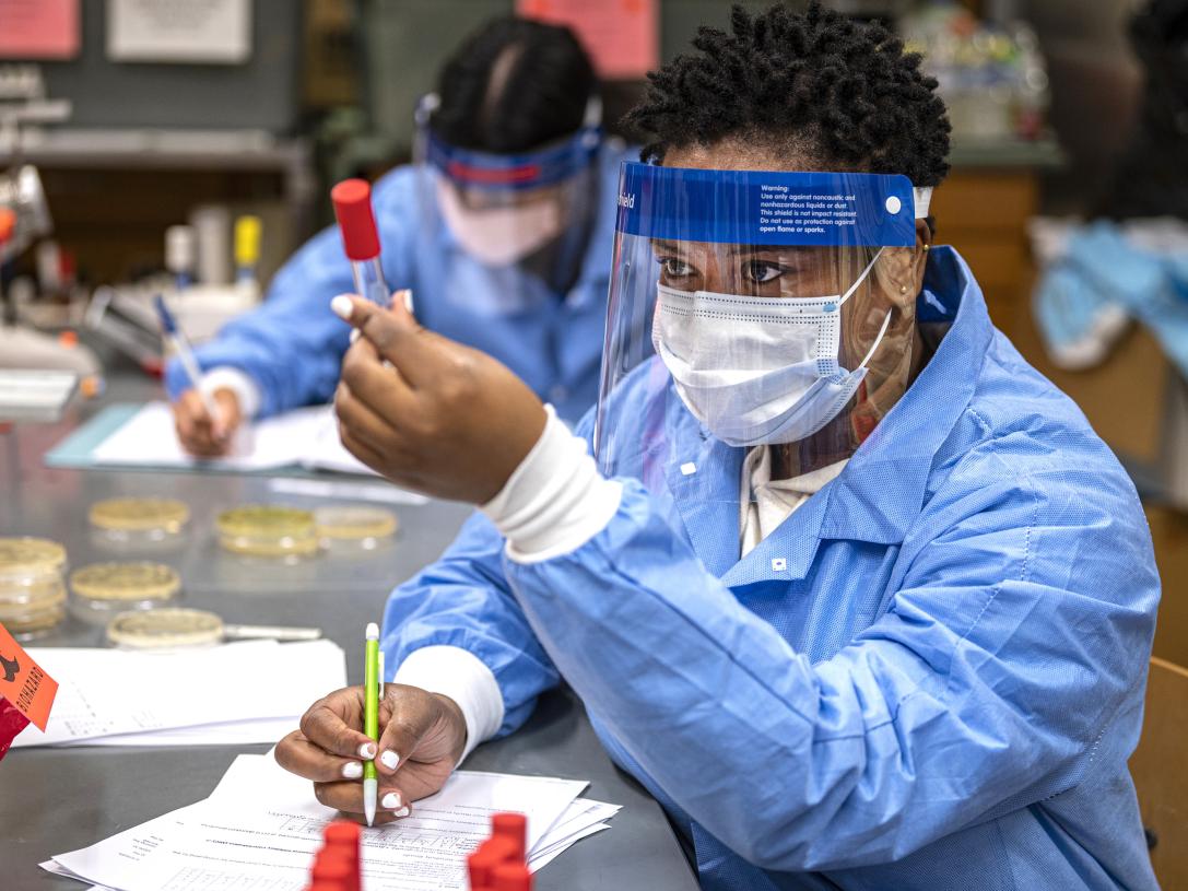 A student examines a sample in a Microbiology lab