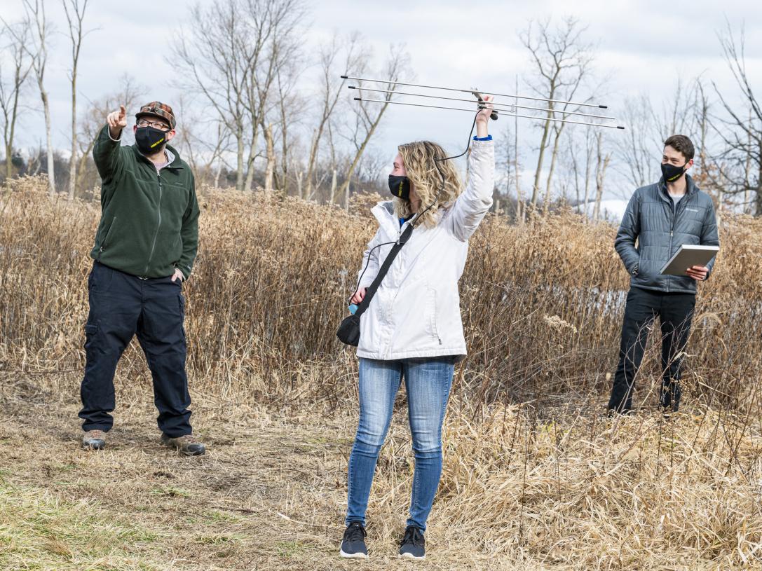Student work on bat research with Professor Bergeson at Eagle Marsh