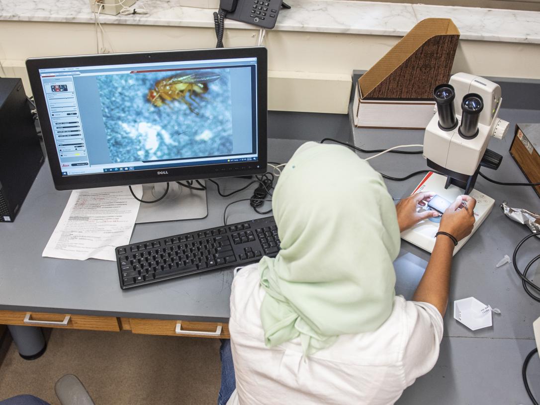 A Biology student magnifies a specimen in a lab 