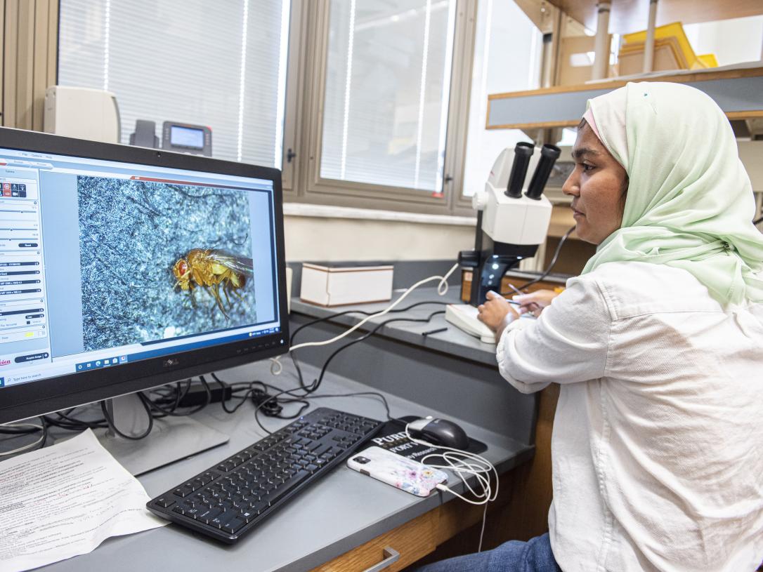 A Biology student doing research in a lab