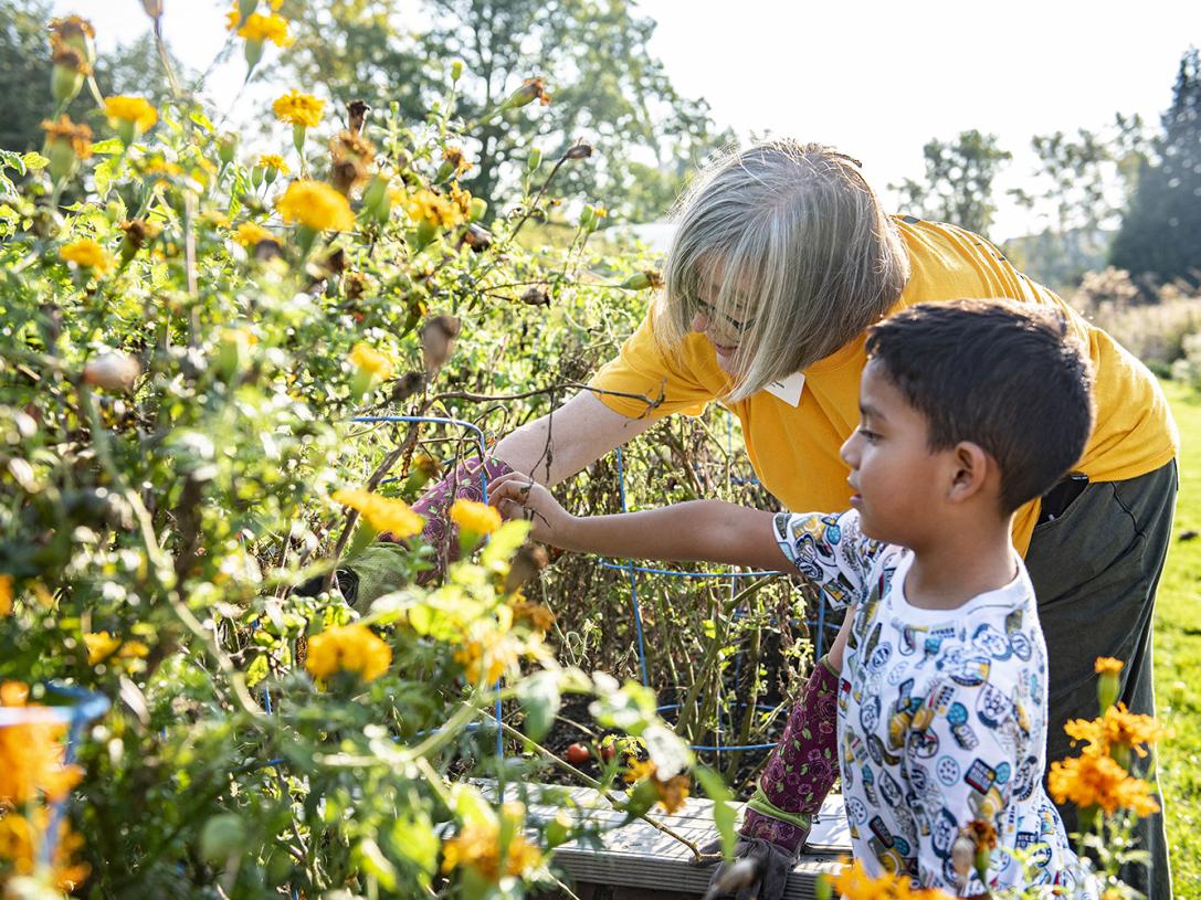 A student teacher and a young student are looking at plants in the School of Education garden