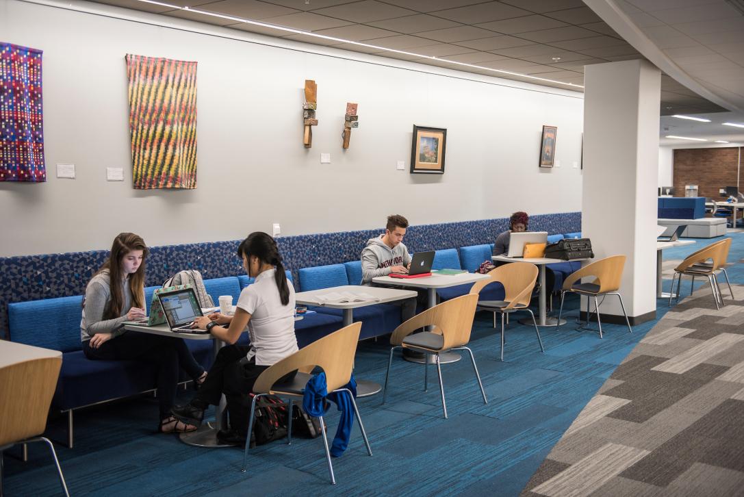 Students studying in the library.