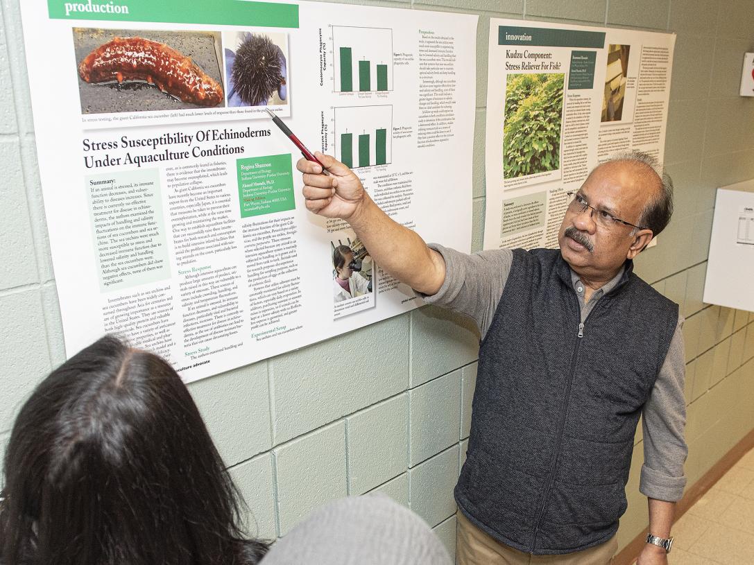 Ahmed Mustafa points at a chart in a hallway