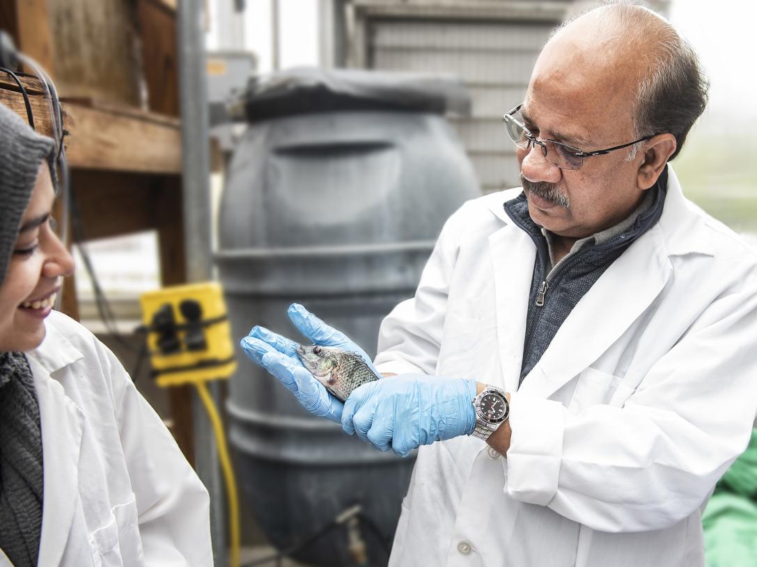 Ahmed Mustafa examines a fish