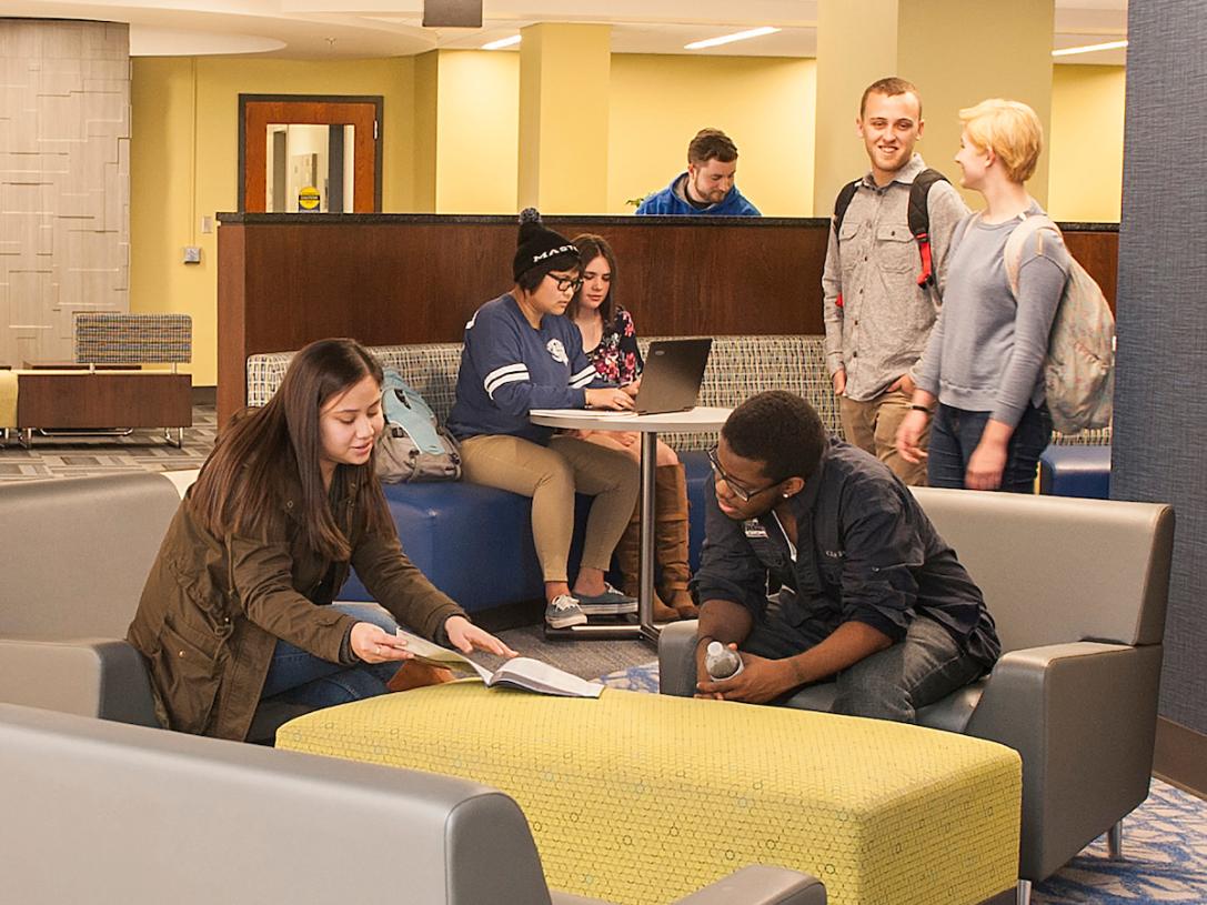 Students studying together