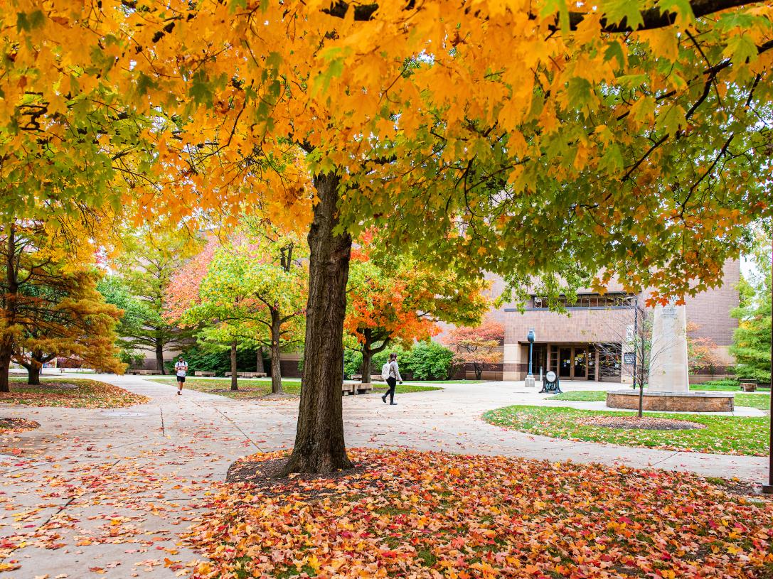Campus in the fall