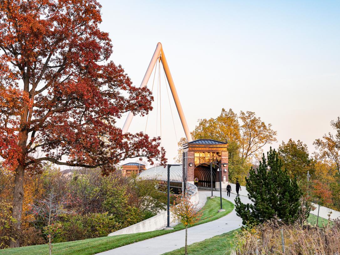 Campus in the fall