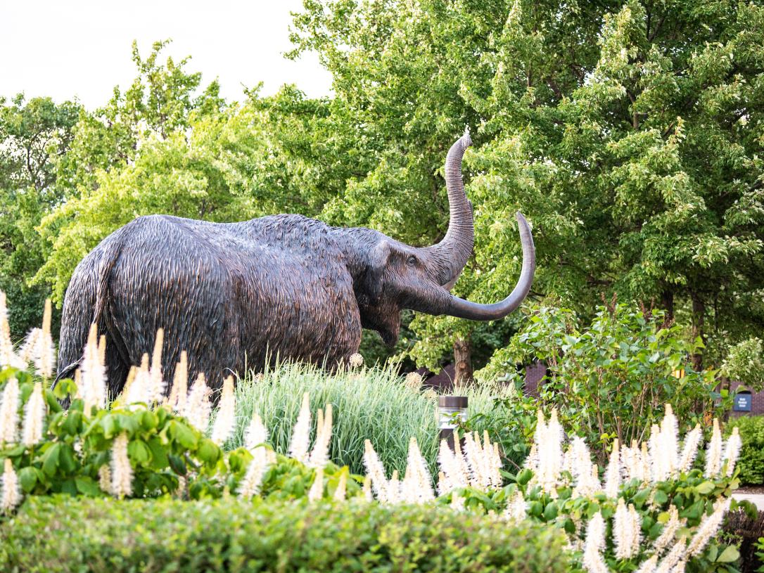 Mastodon statue