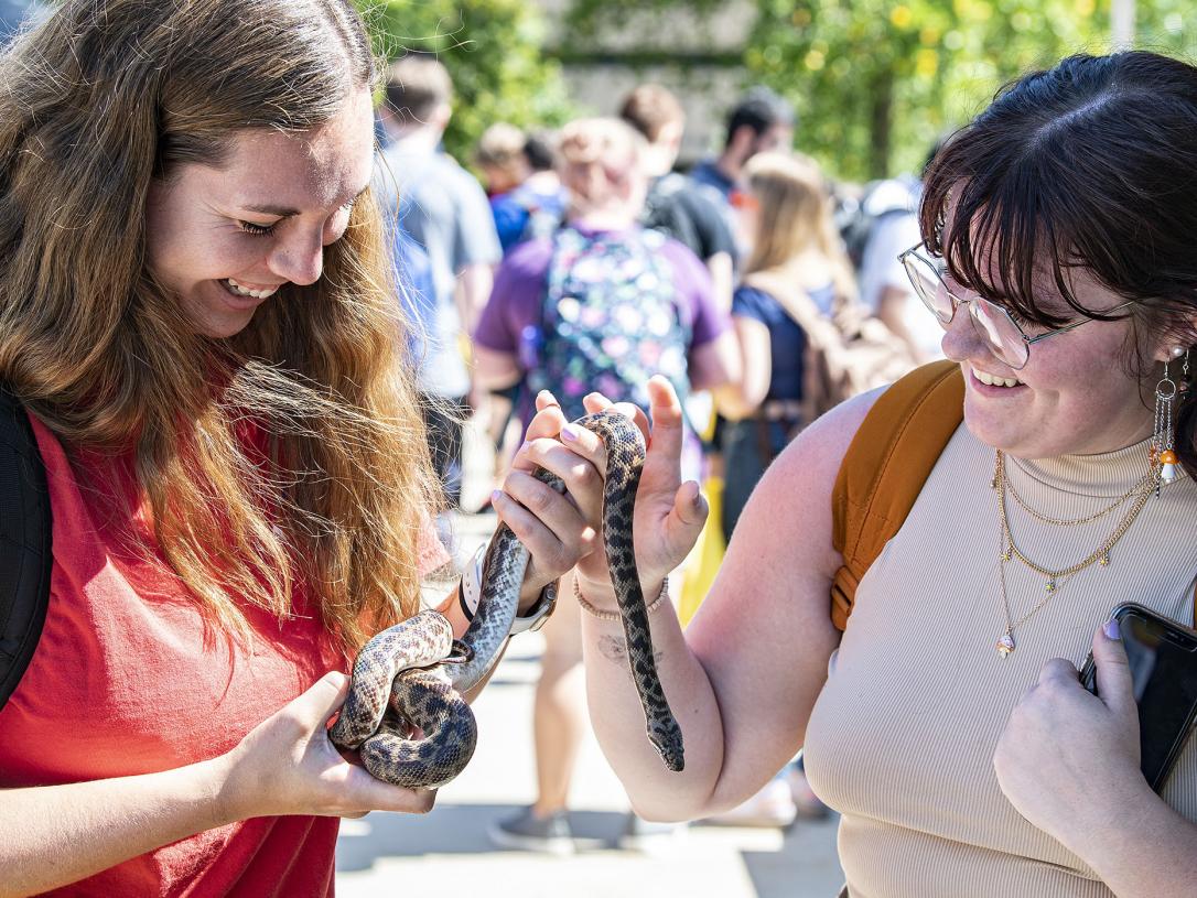 Clive the python and two admirers