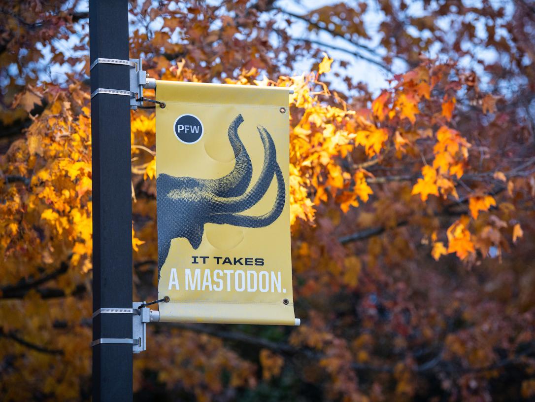 It takes a Mastodon pole banner with fall leaves in the background.