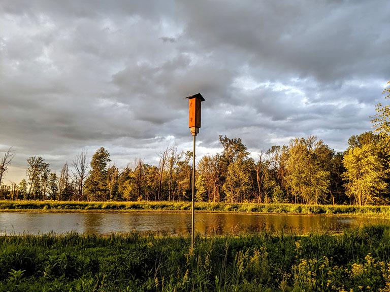 Bat box in Eagle Marsh Nature Preserve in Allen County, Indiana.