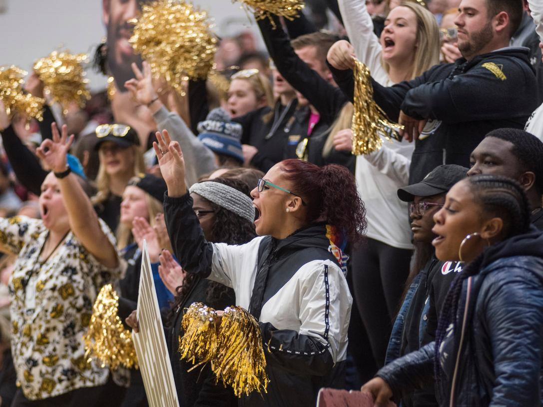 Crowd cheering