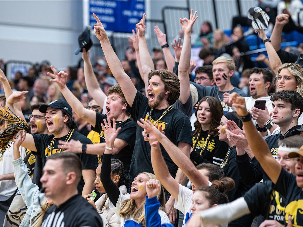 The crowd cheers during a basketball game