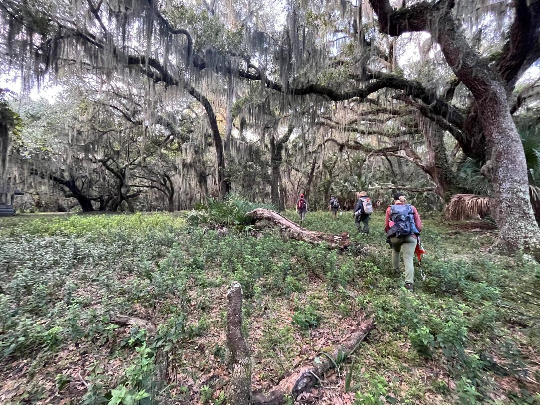 Whitney Hadley-Salay on Cumberland Island.