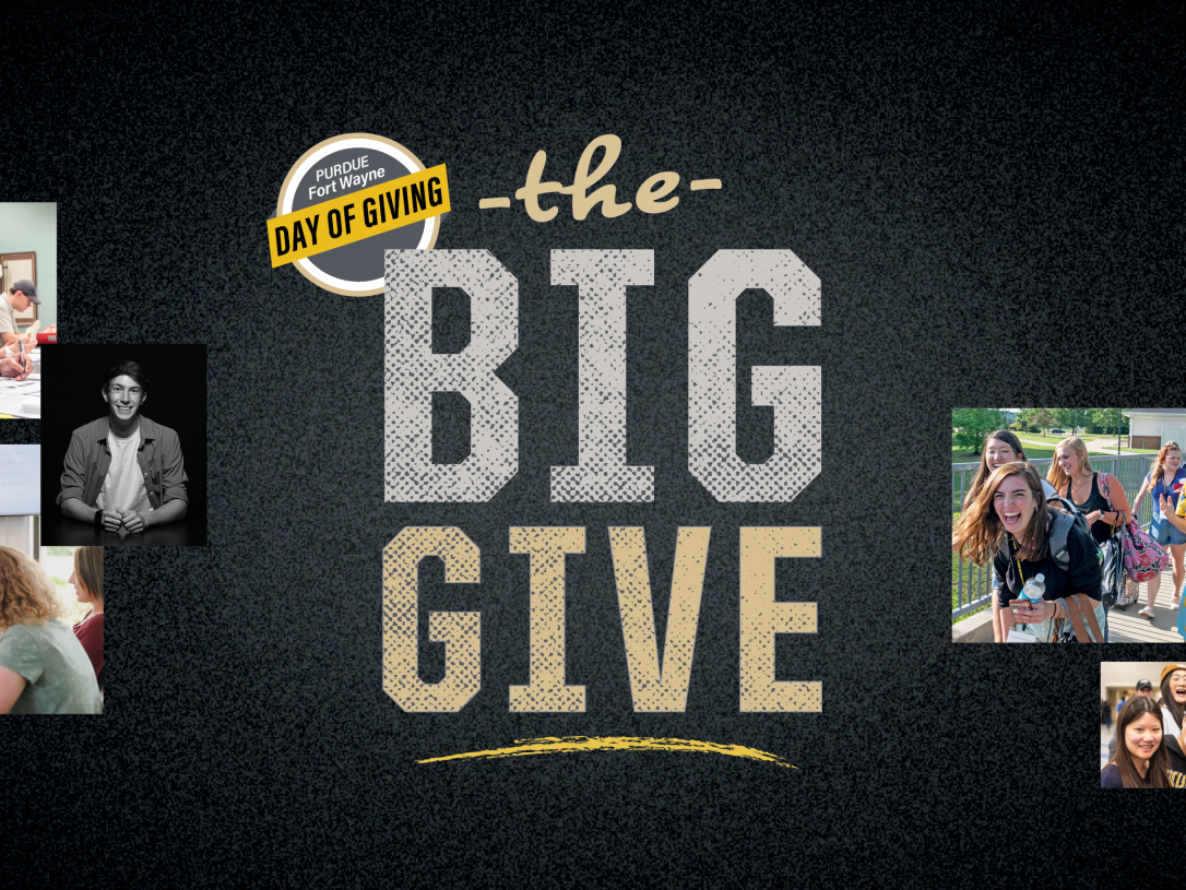 The Big Give graphic