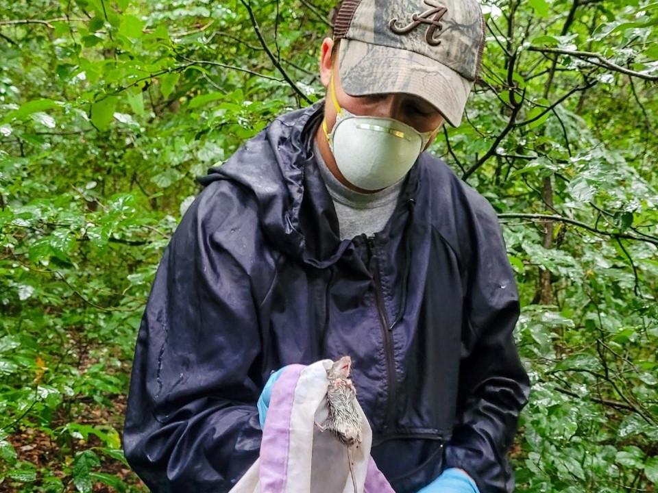 Carsten White working in the field.
