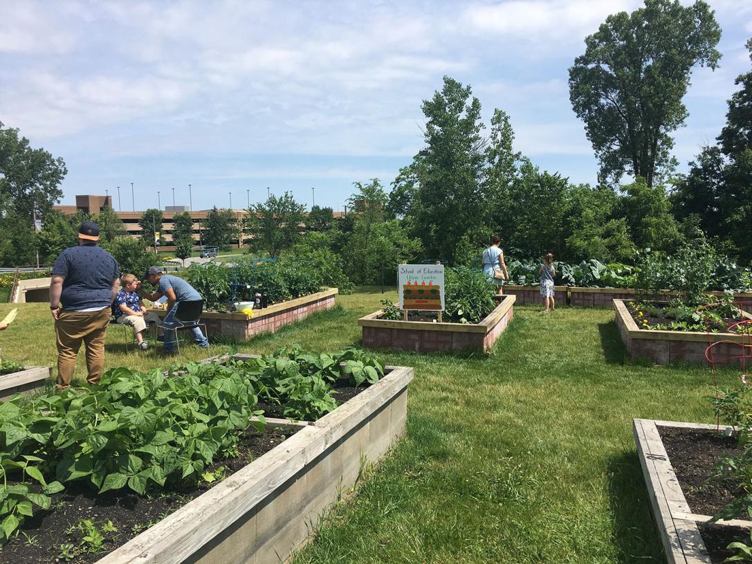 School of Education Urban Garden