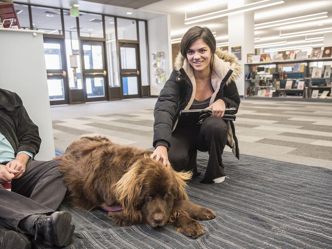 A student pets a therapy dog in Helmke Library.