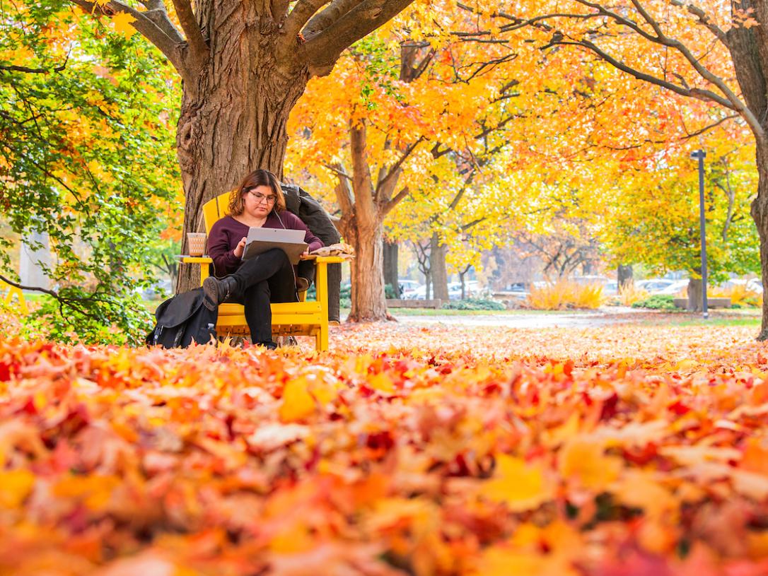 A student studies outside during beautiful fall weather.