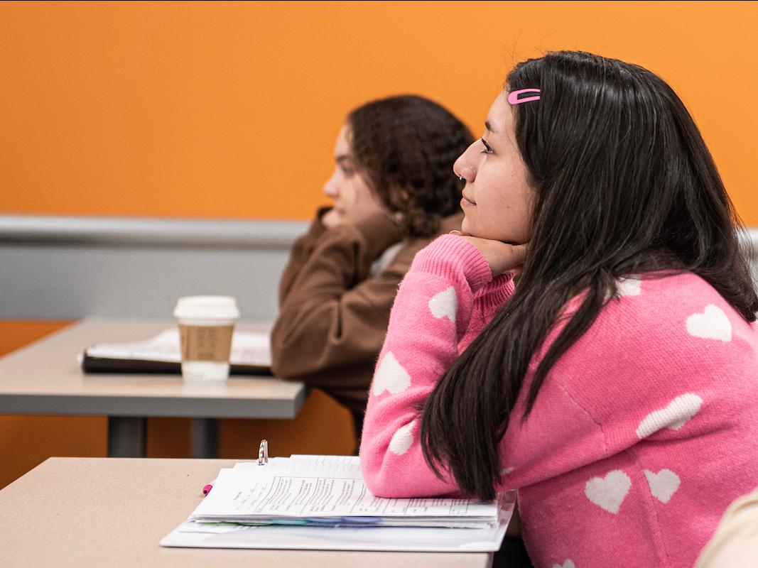 Students in a history class.