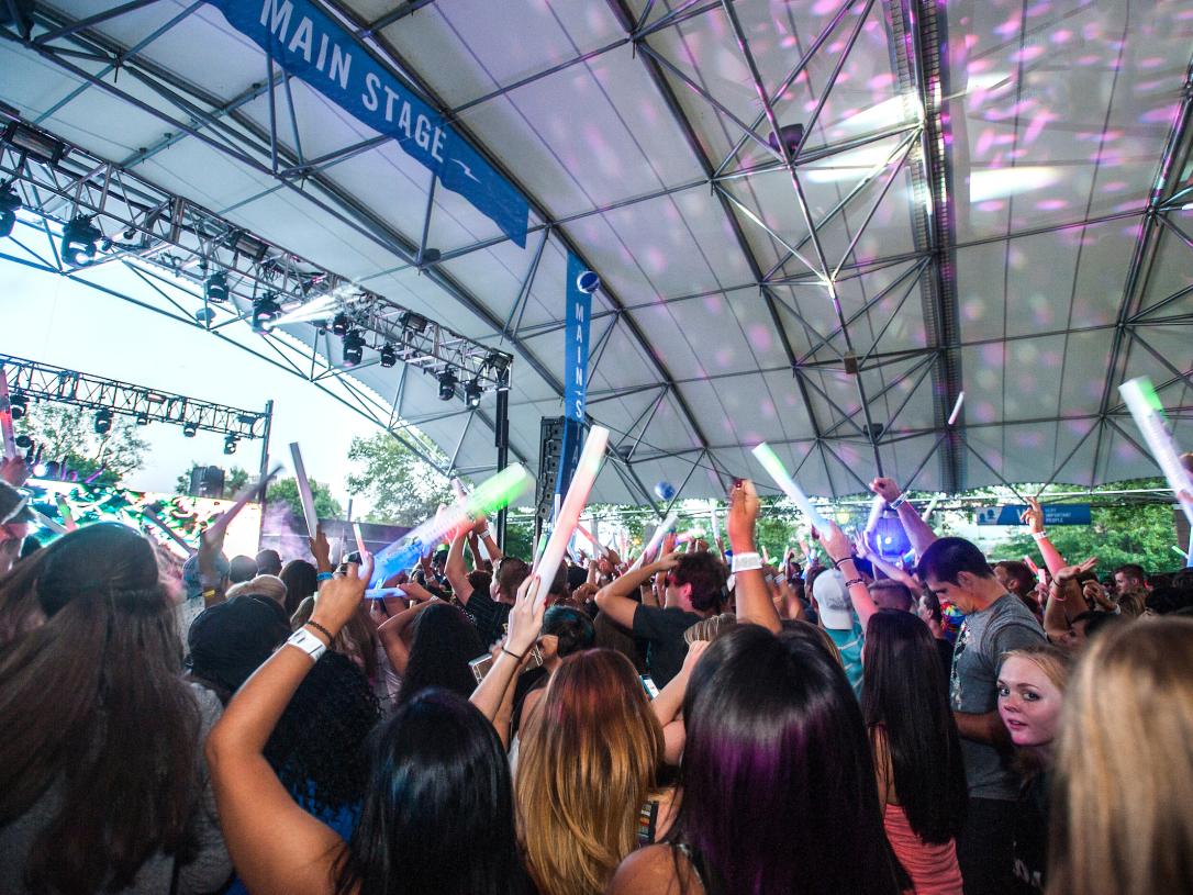 Crowd at a music festival