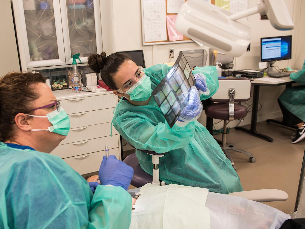 Workers at the dental clinic