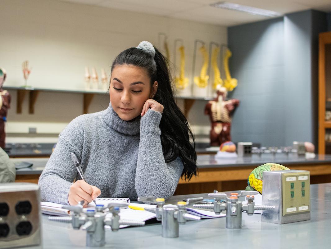 Student studying