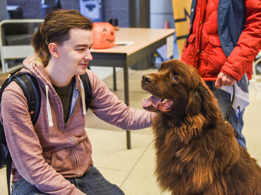 Student with therapy dog