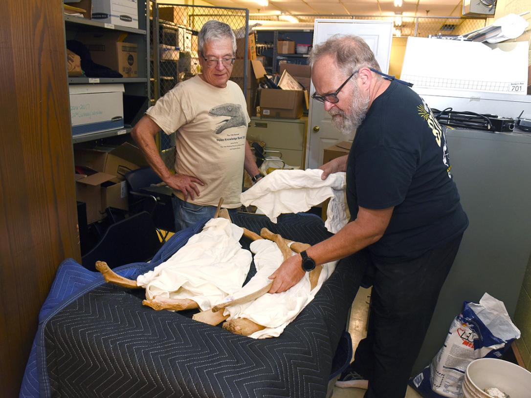Professors James Farlow and Ben Dattilo assemble mastodon bones for transport.