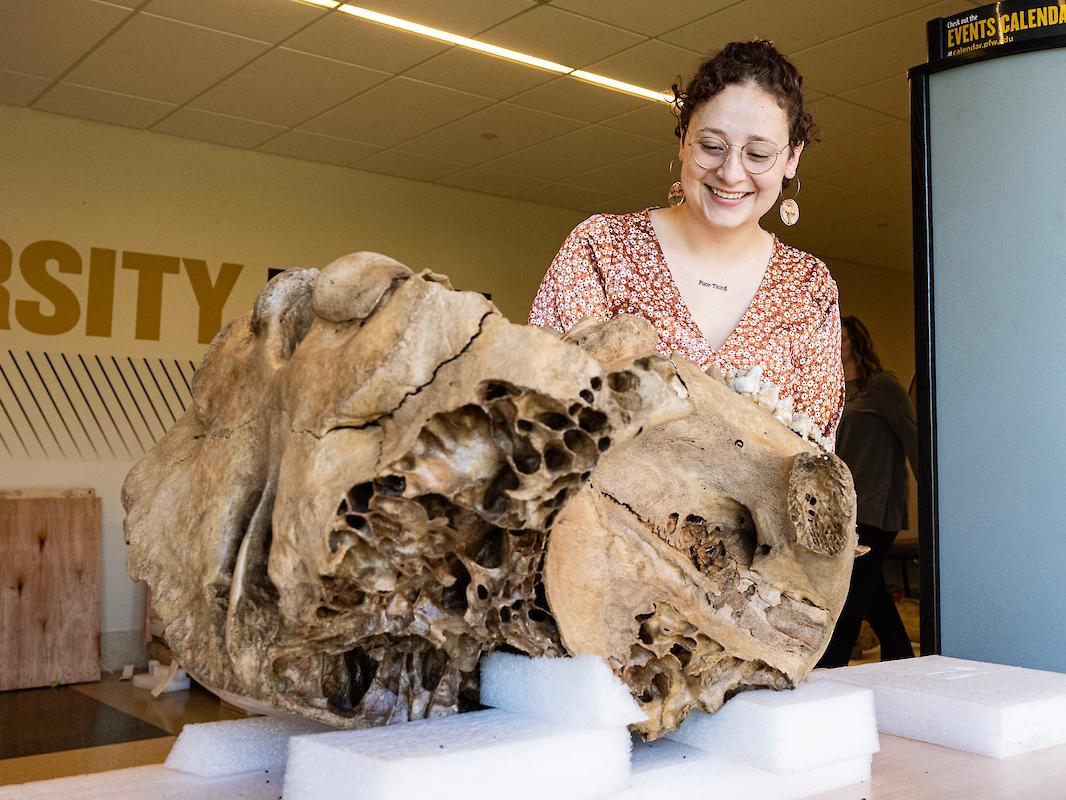 Lynn Herbst, Student Government Association vice president in 2022-23, helped spearhead a motion to raise $200,000 from student senate to complete the new display.