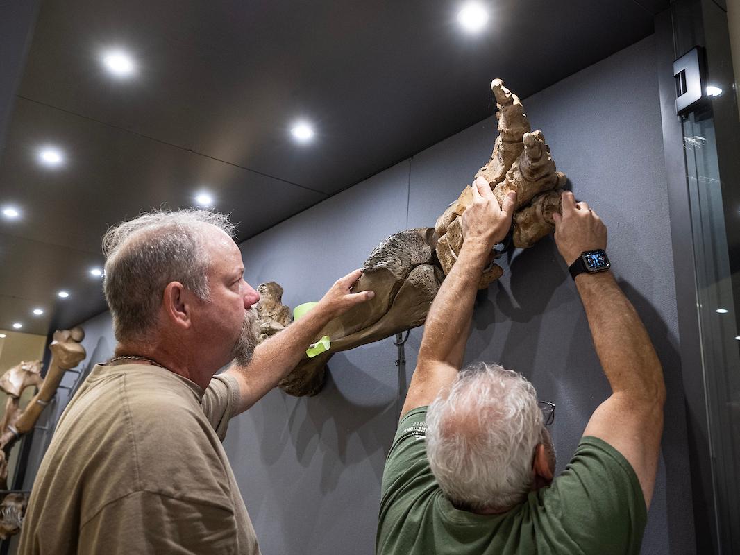 Garth Dallman, left, and Mike Thom of Research Casting International precisely place the left front foot of Donna for the display on Tuesday, Aug. 13.