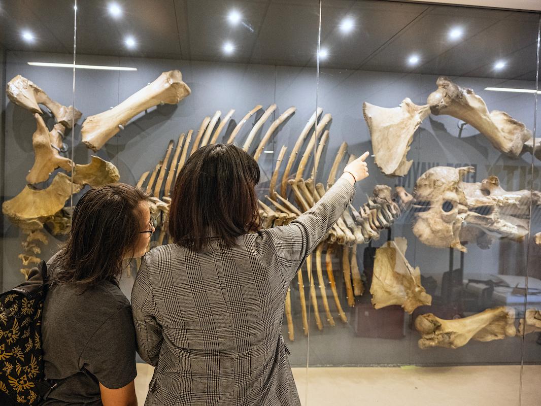 During the two days it took to mount the display, hundreds of PFW employees stopped by with many returning several times during the process to check on progress.