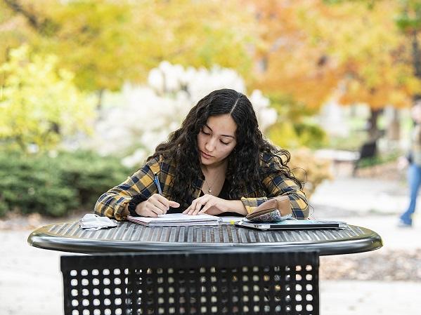 Student studying
