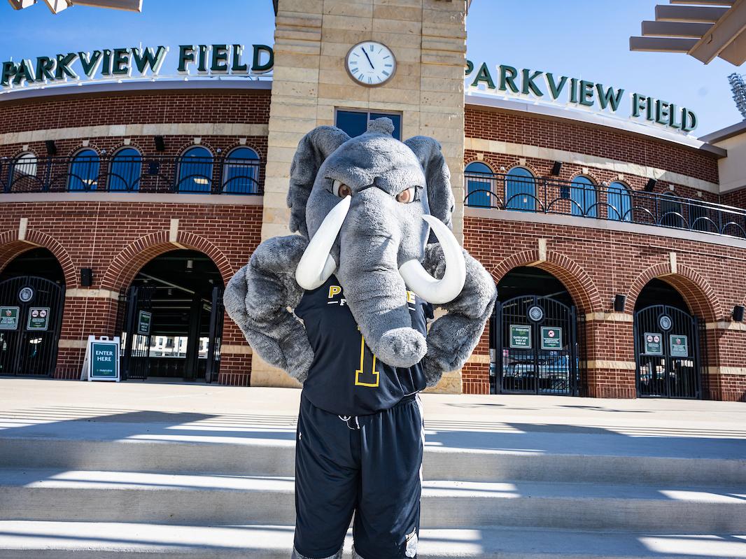 Mastodon standing outside Parkview Field