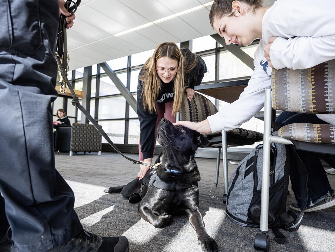 Recon enjoys being the center of attention.