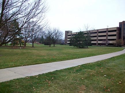 Library Green