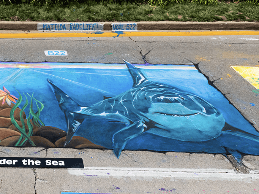 Chalk drawing of a shark on a city street