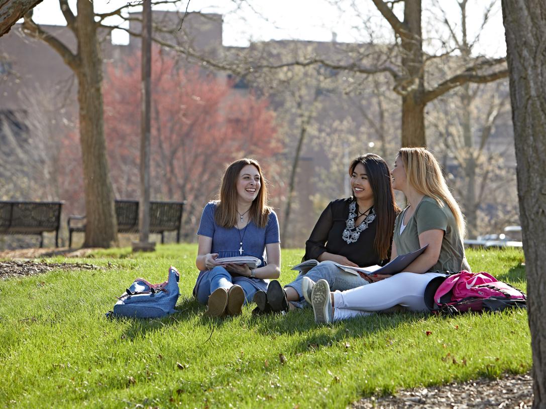 Students sitting on a hill on campus.