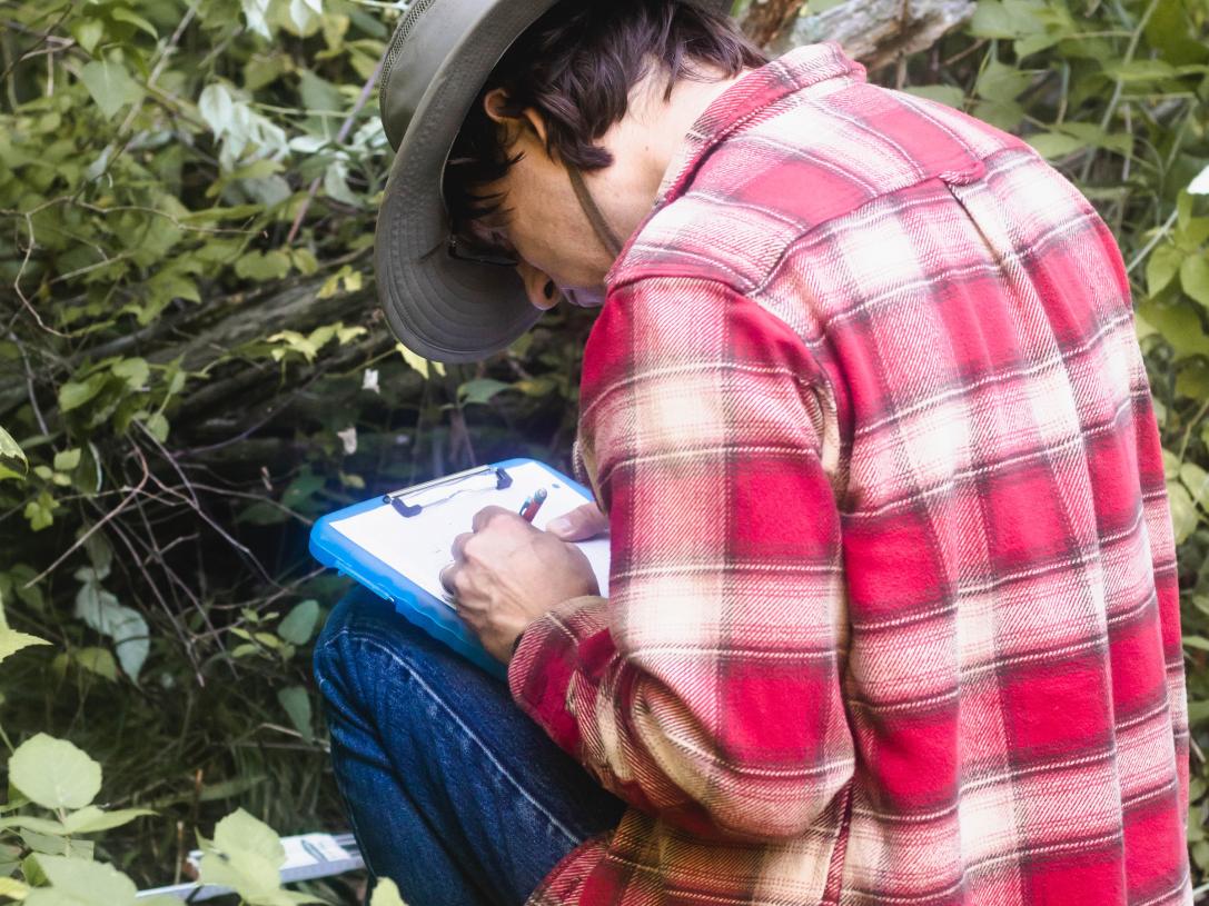 Student records findings during field school study