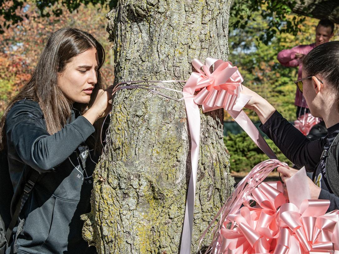 Two students are tying pink ribbons on trees